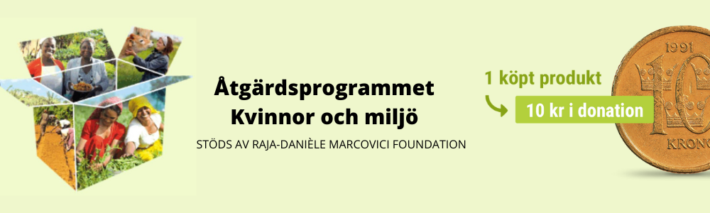 Åtgärdsprogrammet Kvinnor och miljö