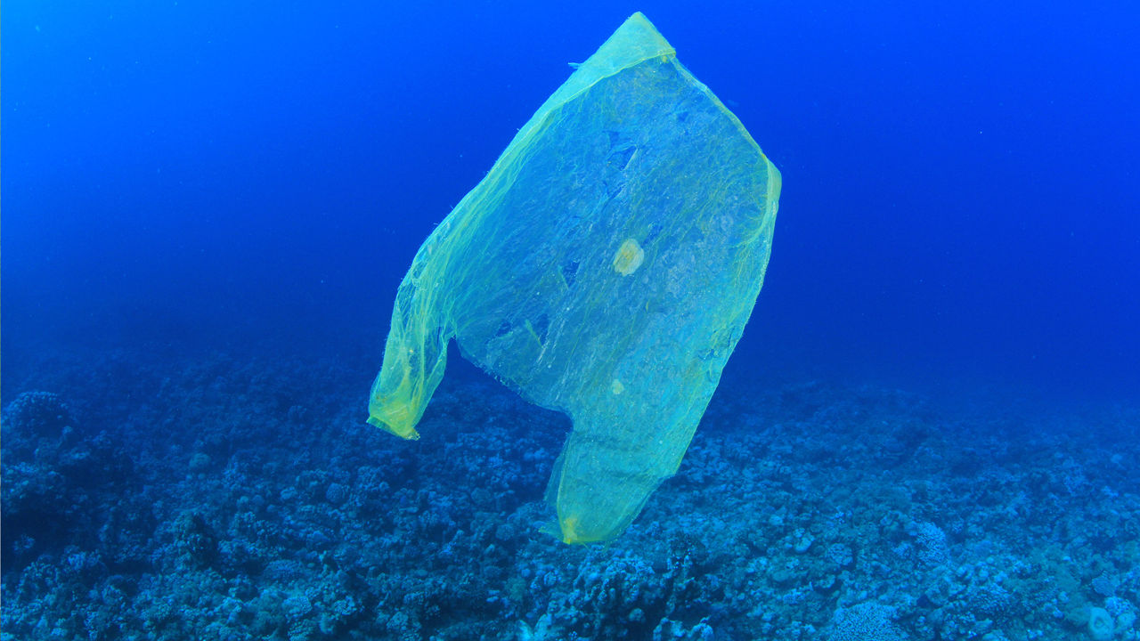 Bild på plastpåse i havet.